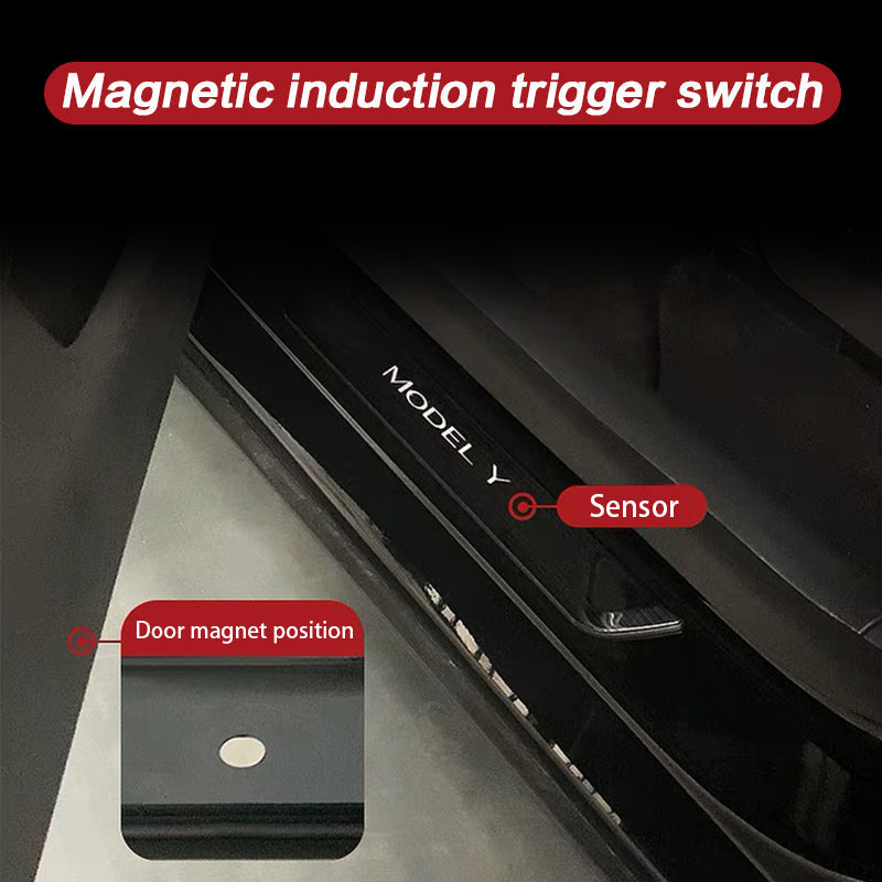 Model 3 Gloss carbon fiber rear door and front illuminated door sills