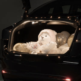 Maxamera Tesla Model 3 & Y Trunk Ambient Lighting