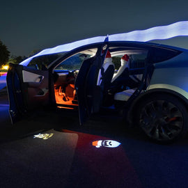 Maxamer Christmas Welcome Light